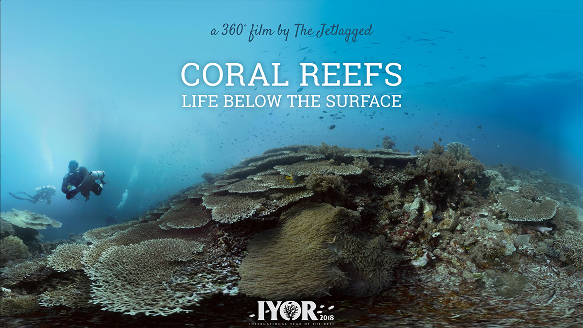 360 Coral Reefs - Live below the surface in collaboration with ZMT Leibniz Center for Tropical Marine Research