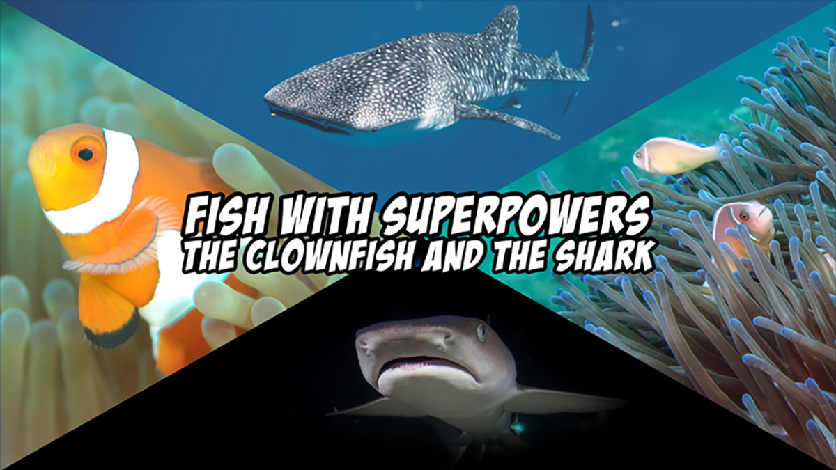 Fish with Superpowers #1 Clownfish and Sharks