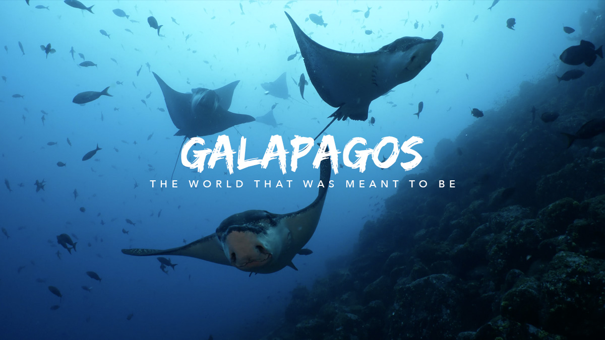 Galapagos - The world that was meant to be (travel film poster)