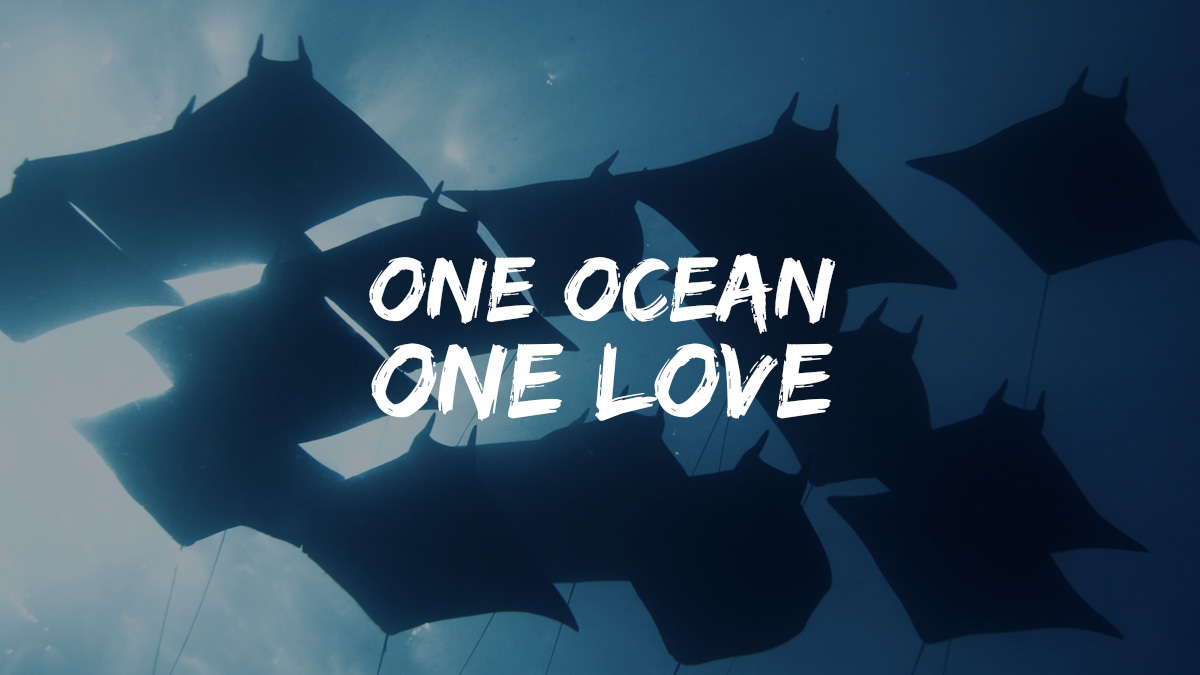 One Ocean, One Love film poster