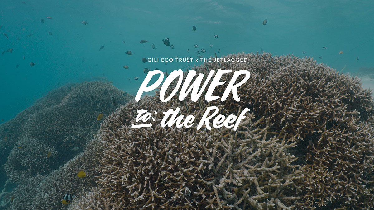 Artificial reef built by the Gili Eco Trust