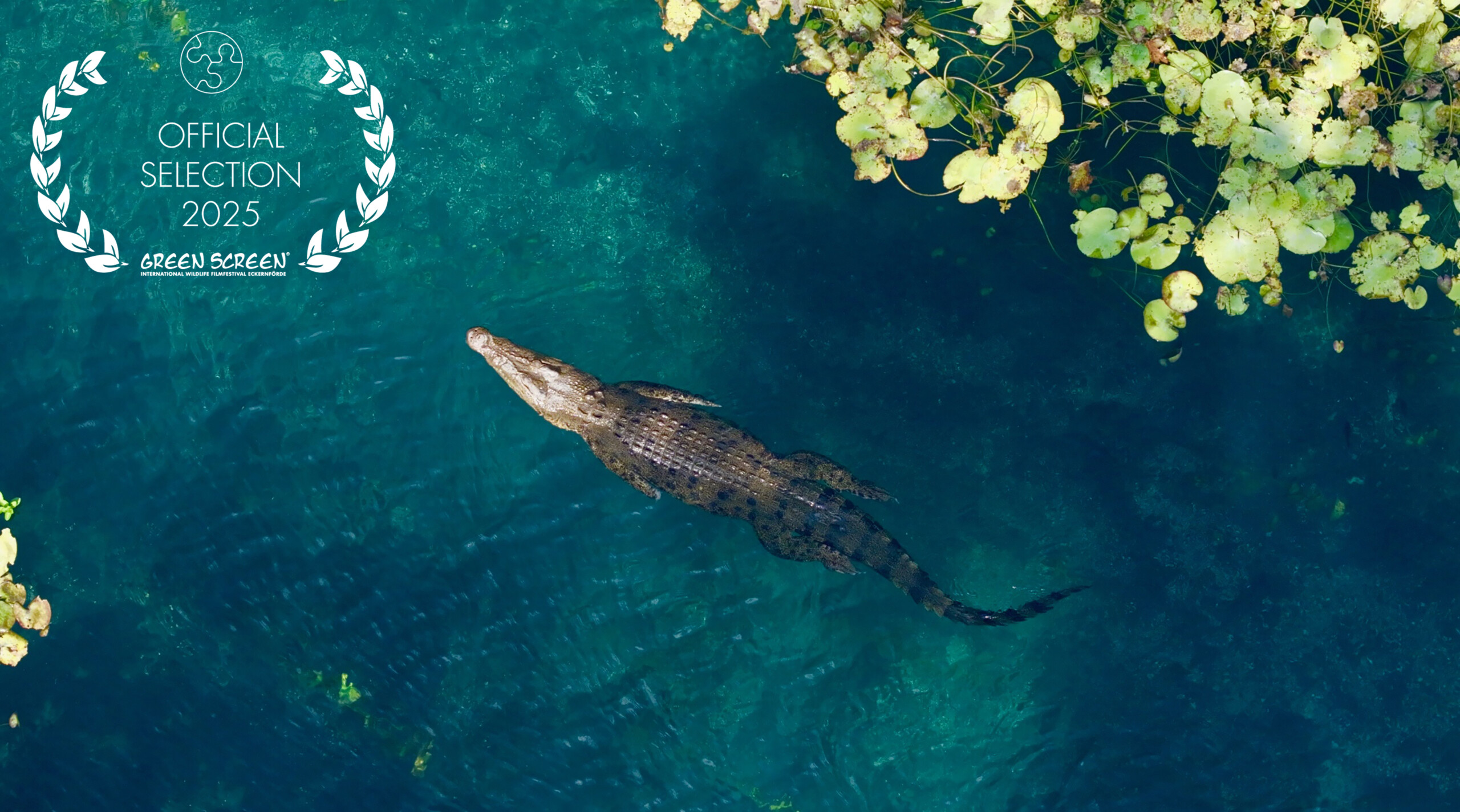 Timor Leste - Land of the sleeping crocodile