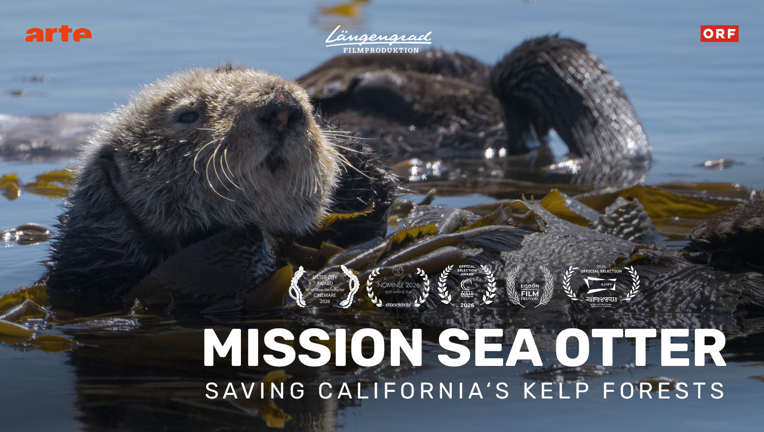 Mission Sea Otter Film Poster
