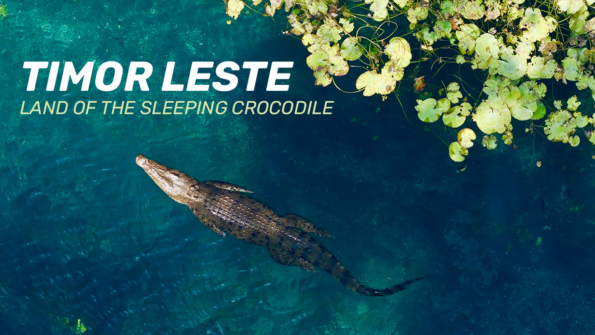 Timor Leste - Land of the Sleeping Crocodile